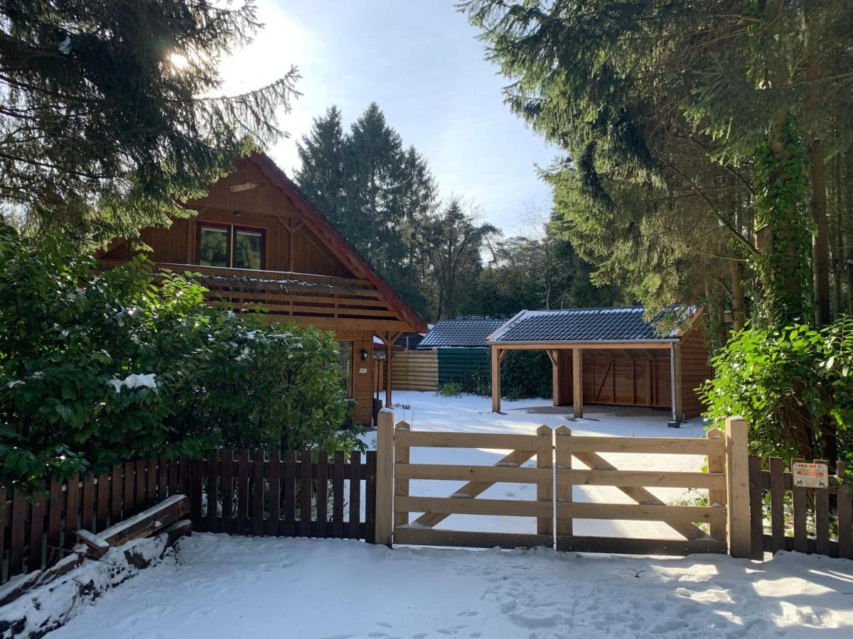 'T Holten Huus - Puur Genieten In Het Bos. Norg Exterior photo