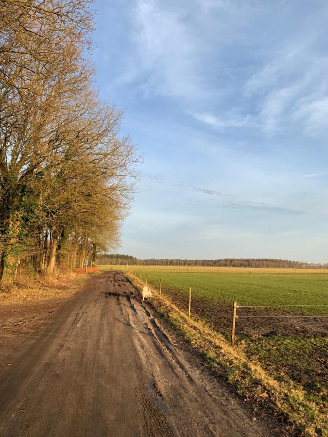 'T Holten Huus - Puur Genieten In Het Bos. Norg Exterior photo