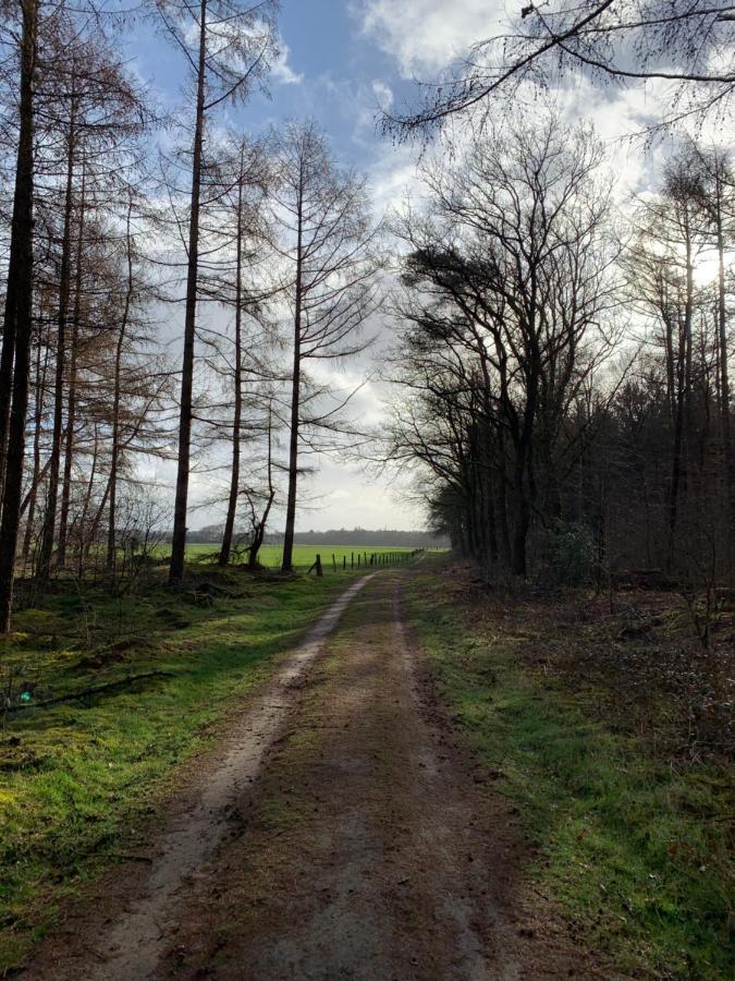 'T Holten Huus - Puur Genieten In Het Bos. Norg Exterior photo