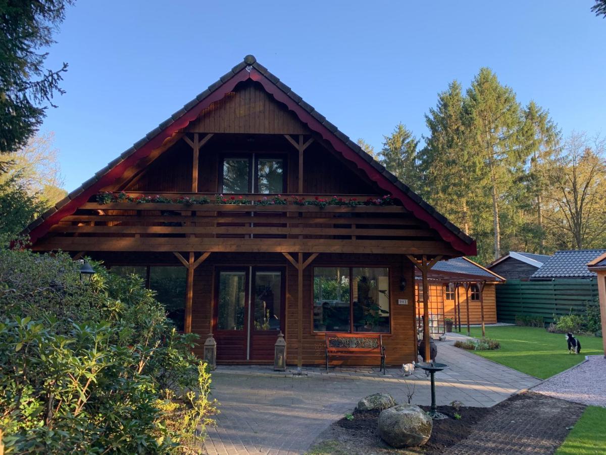 'T Holten Huus - Puur Genieten In Het Bos. Norg Exterior photo