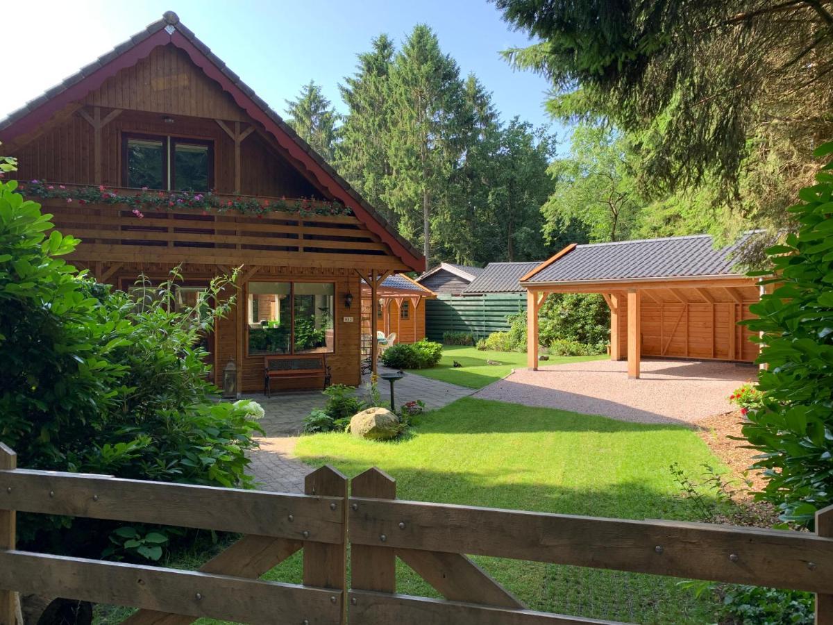 'T Holten Huus - Puur Genieten In Het Bos. Norg Exterior photo